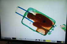 Immigration: Un clandestin caché dans une valise arrêté